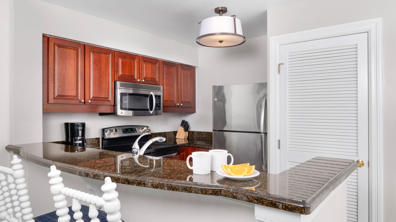 Kitchen (1-Bedroom Villa)